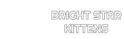 Bright Star Kittens